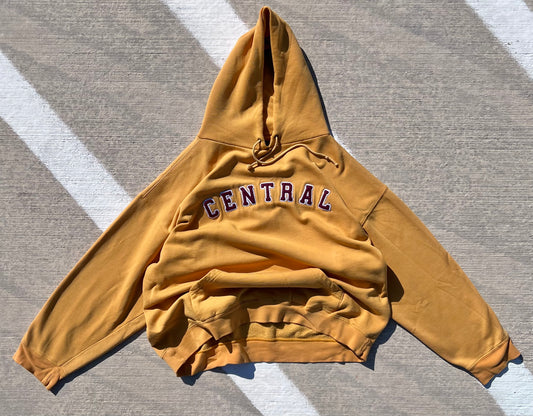 Central Hoodie